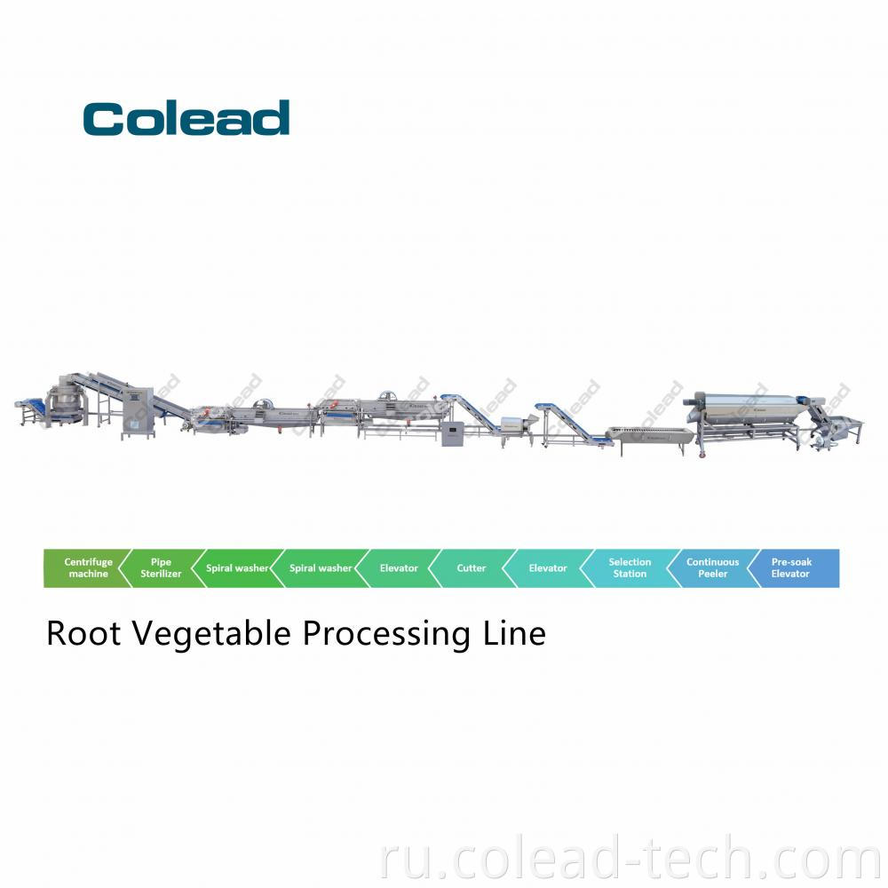 Root Veg Line Jpg